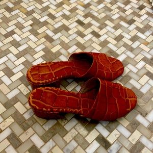 Freda Salvador kitten slides